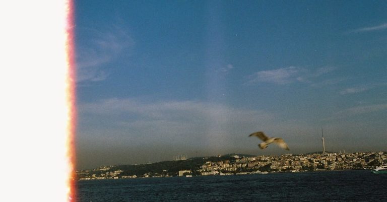 Quels sont les films d&rsquo;auteur à découvrir ?